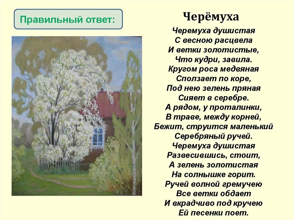 Стихотворения черемуха есенин 3 класс. Есенин с. а. "черемуха". Стихи Есенина о природе черемуха. Черёмуха душистая с весною расцвела.