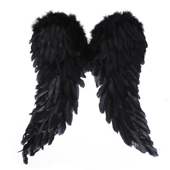 Крылья купить саратов. Черные Крылья. Маскарадные Крылья "черные". Подарок Крылья. Крылья ангела, цвет черный.