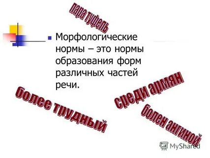 1 морфологический