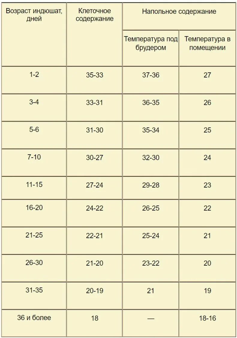 Температура в брудере для индюшат. Температурный режим для выращивания индюков. Температурный режим выращивания индюков таблица. Тепловой режим для выращивания индюшат. Температурный режим для индюков таблица.