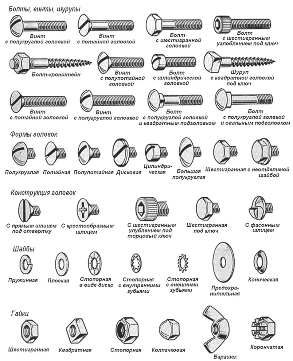 Типы болтов и винтов. Винт болт шуруп саморез отличие. Классификация болтов по диаметру. Классификация шуруп винт болт. Каких видов бывают размеры