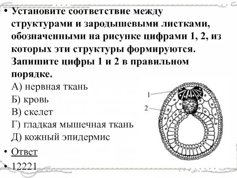 Установите соответствие мутации. Установите соответствие мутации