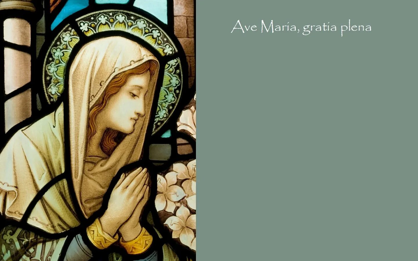 Ave Maria Gratia Plena. Ave Maria Ave Gratia Plena.
