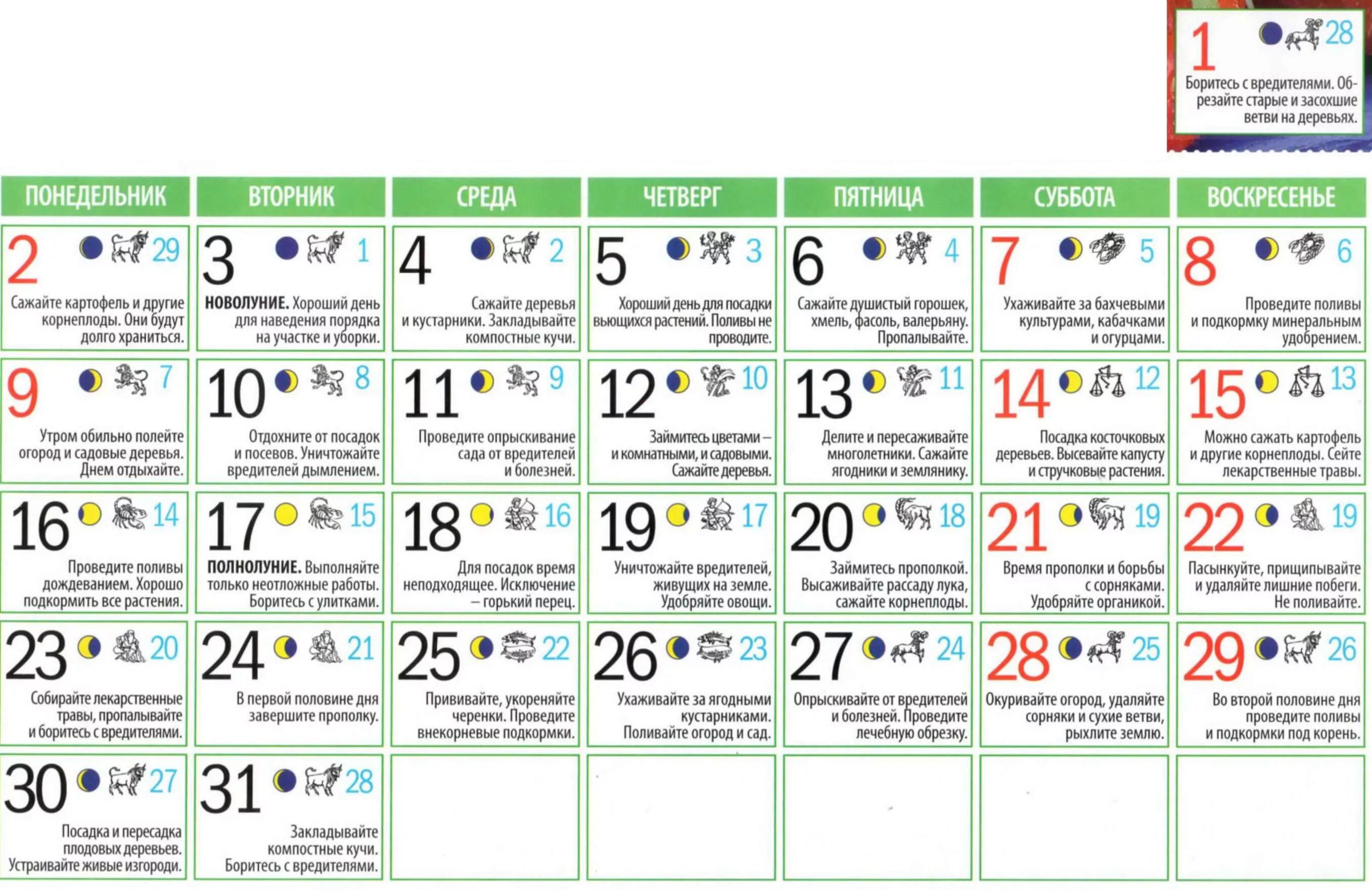 В какие лунные дни можно сажать. Что можно сажать в полнолуние. Можно ли сажать в полнолуние. Что можно сеять в полнолуние. Можно ли сажать в новолуние.