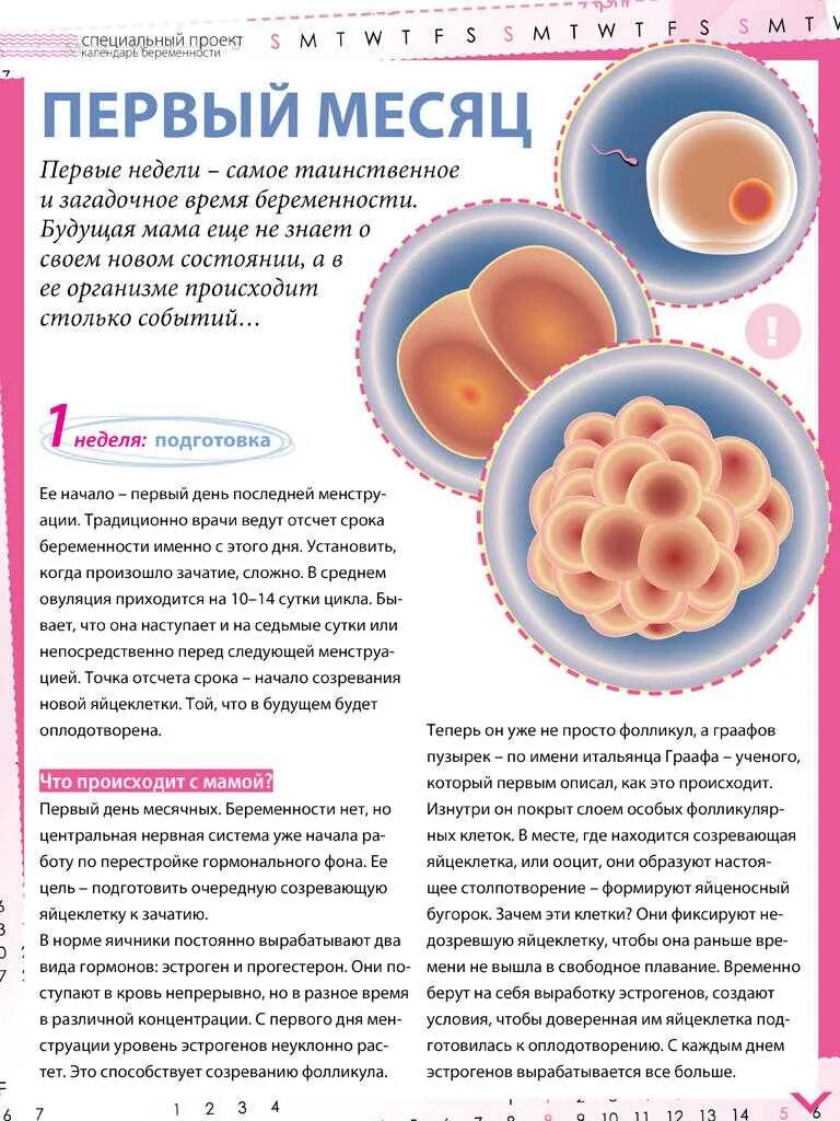 Признаки беременности до овуляции. Симптомы беременности на ранних сроках. Первые признаки беременности на ранних сроках до 1 недели. Симптомы беременности на 1 и 2 недели. При начальной беременности симптомы.