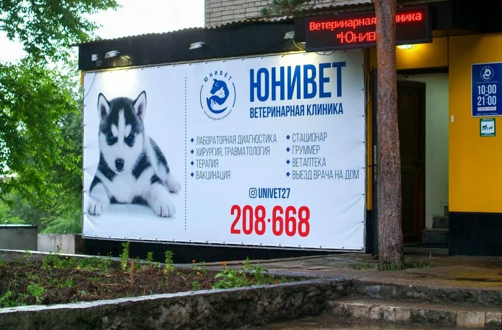 телефон ветеринарной клиники хабаровска. ветеринарная клиника хабаровск краснореченская. телефон ветеринарной клиники хабаровска. хабаровск ветеринарная клиника степной переулок. телефон ветеринарной клиники хабаровска.