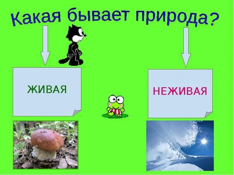 Живая и неживая планета