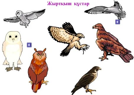 Әртүрлі елдердің секс видеолары