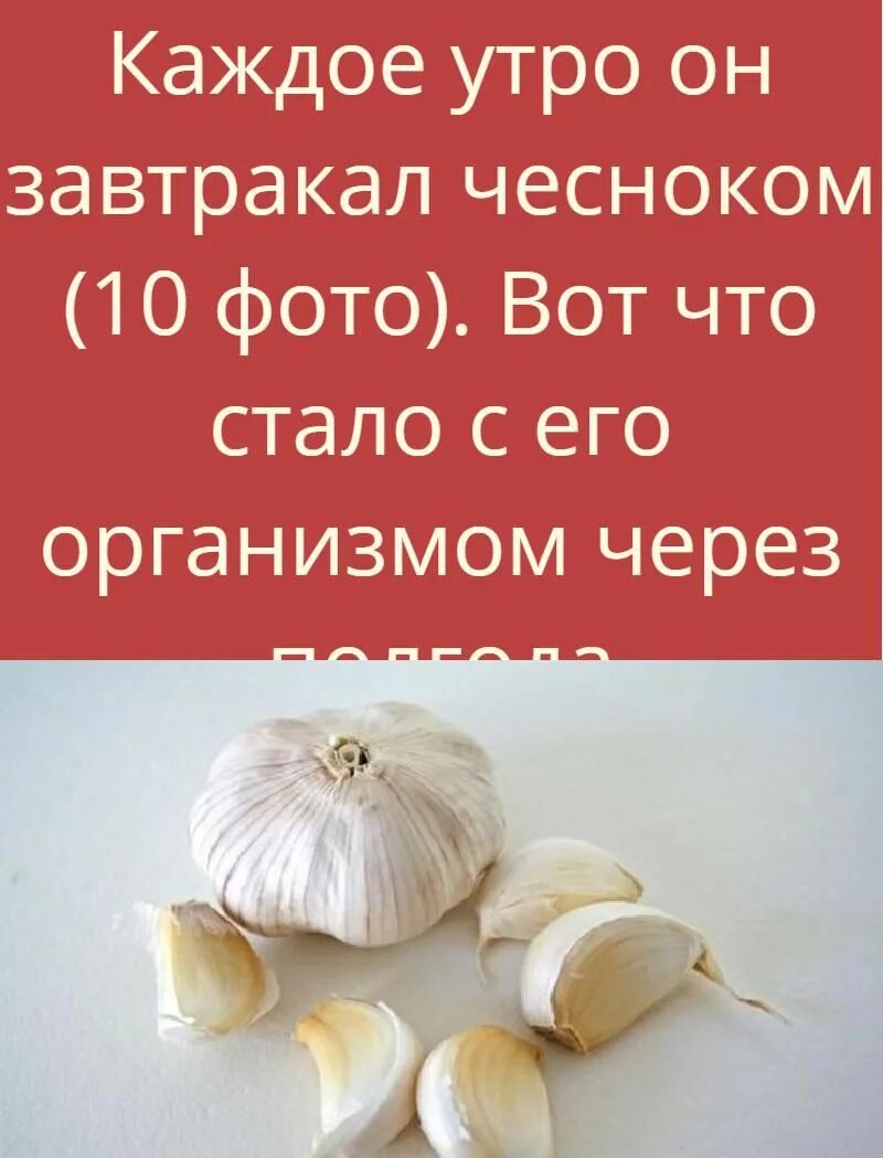 Как правильно принимать чеснок. Чеснок натощак. Чеснок утром. Чеснок вкусный. Чеснок натощак по утрам.