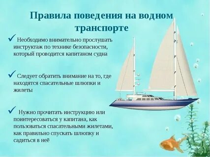 Безопасность морских и речных судов