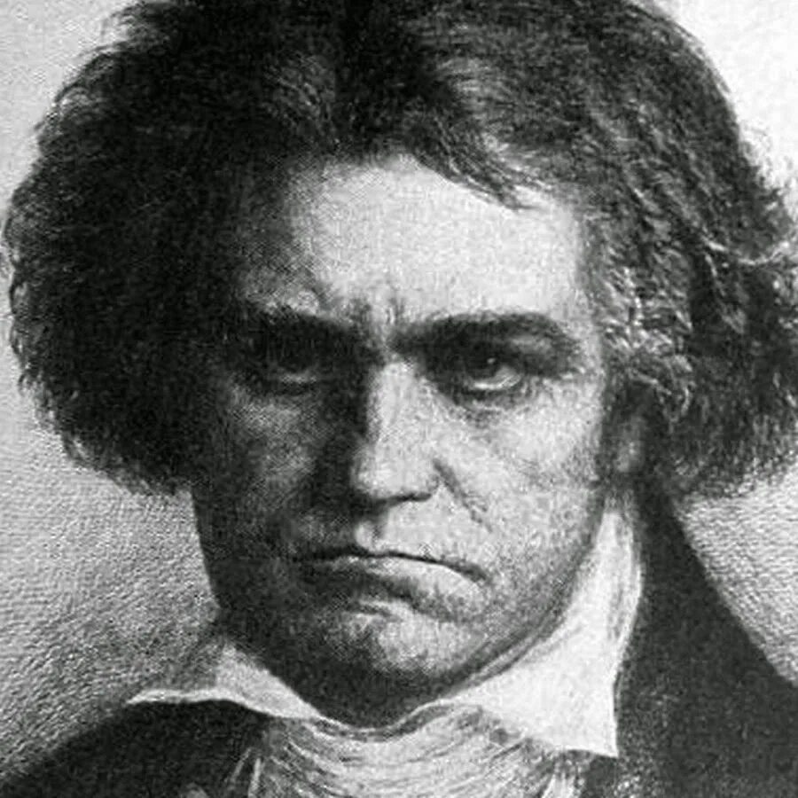 Бетховен портрет композитора. Бетховен дирижирует. Бетховен знамение. Иоганн ван бетховен. Бетховен композитор.