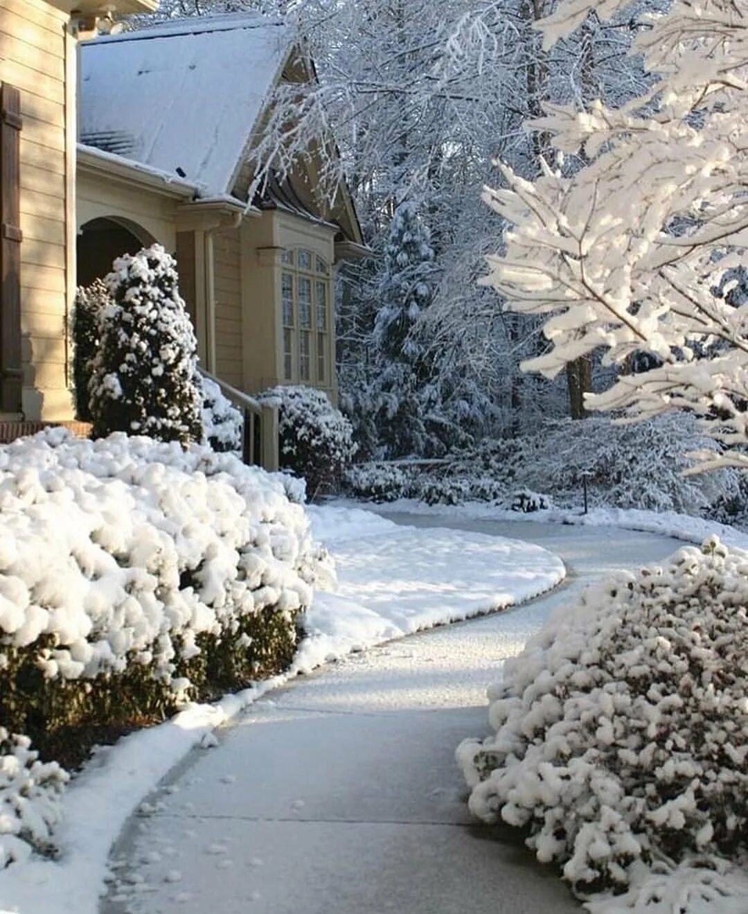 Заснеженный двор. Снежные дворы петербурга. Сугробы во дворе. Двор со снегом. Декабрь сугробы на дворе.