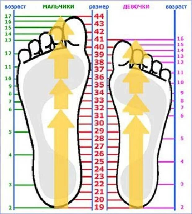 Размер ноги. Таблица размеров обуви для детей. Размер ступни. Размер ноги ребенка.