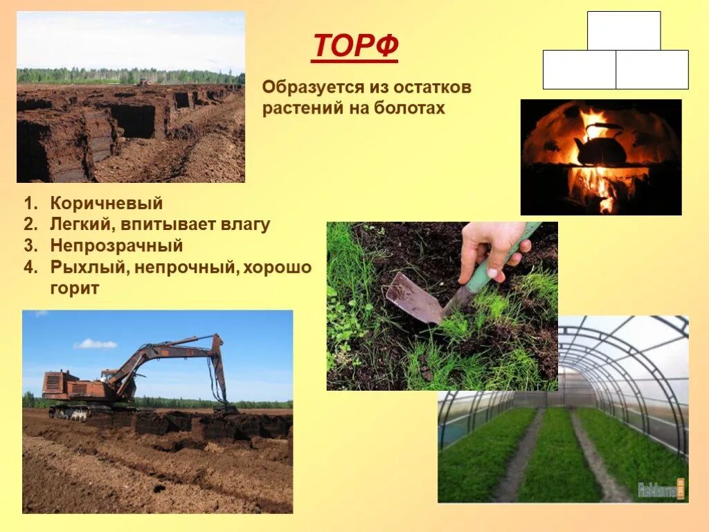 Горючие полезные ископаемые торф. Полезные ископаемые торф. презентация на тему торф. торф полезное ископаемое. торф образуется из.