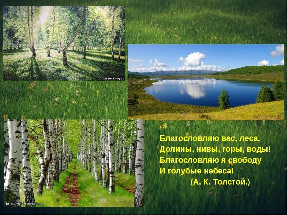 Благословляю вас леса. Благословляю вас леса толстой. Благословляю вас леса Чайковский. Стих Толстого Благословляю вас леса. Благословляю вас на все стороны