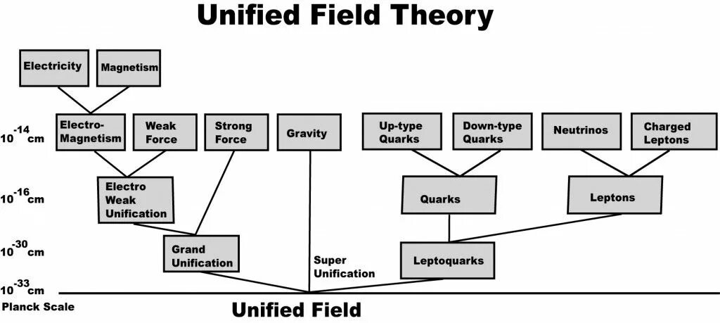 Unified field Theory. A Theory of fields. Unified. Fielder's Theory. Field theory