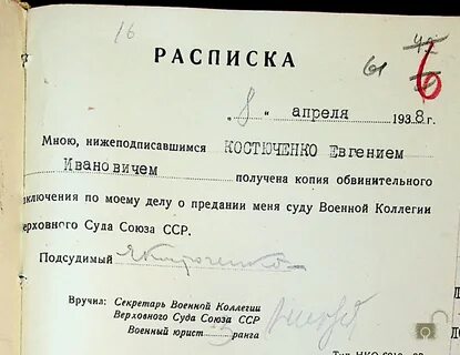 Копия обвинительного
