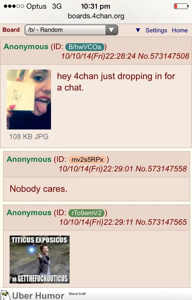 Boards 4chan