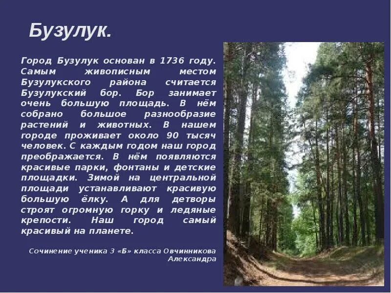 Сообщение о сосновом бору. Бузулукский бор национальный парк краткое. Бор ученый физик открытия. Караканский бор в новосибирской области на карте. Рассказ бора.