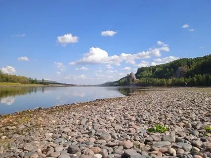 Сосновый красноярск