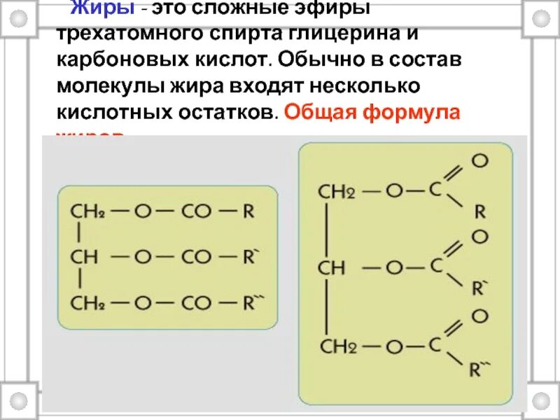 Жиры 0 5 г. Строение молекулы жира. Жиры общая формула. Жиры это сложные эфиры глицерина. Молекула жира формула.