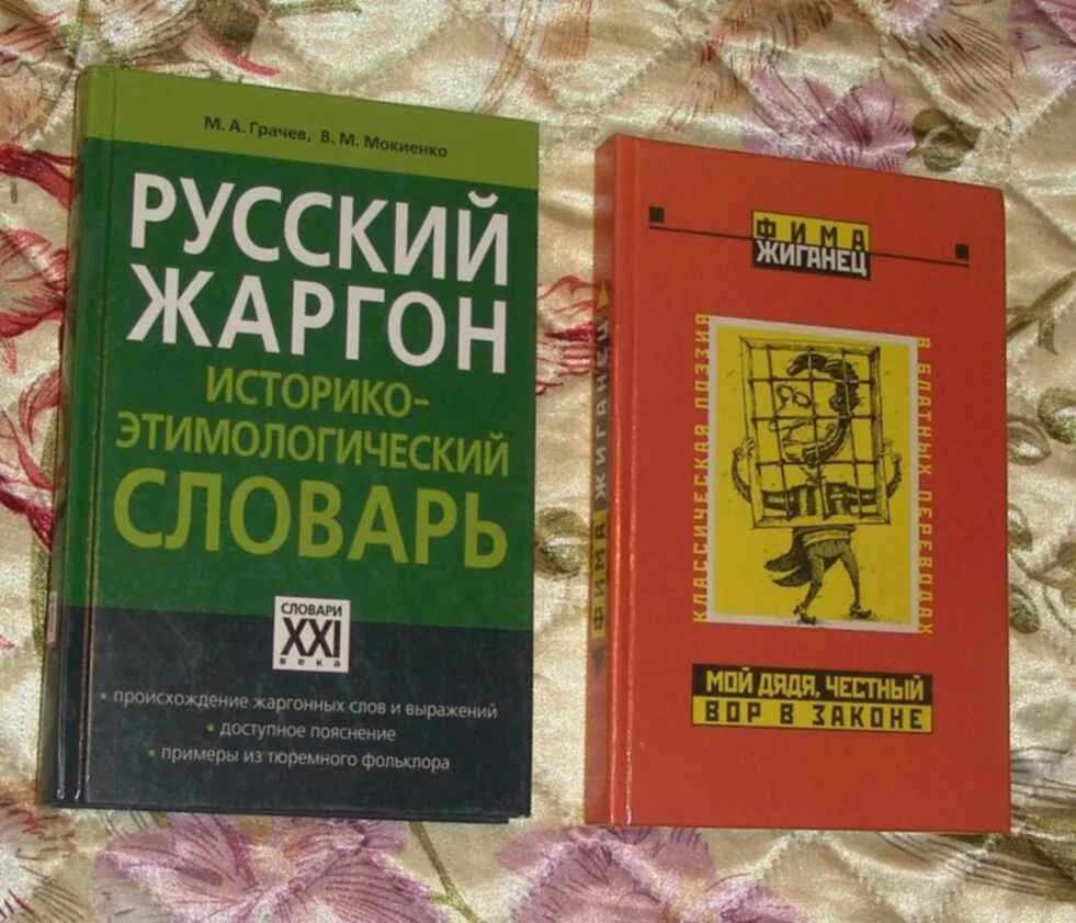 Словарь жаргона. Молодёжный сленг словарь. Книга жаргон. Словарь жаргонов русского языка. Словарь русского жаргона