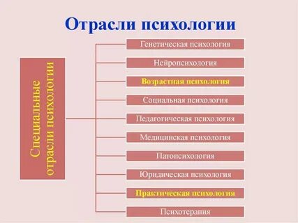 Общие отрасли психологии это