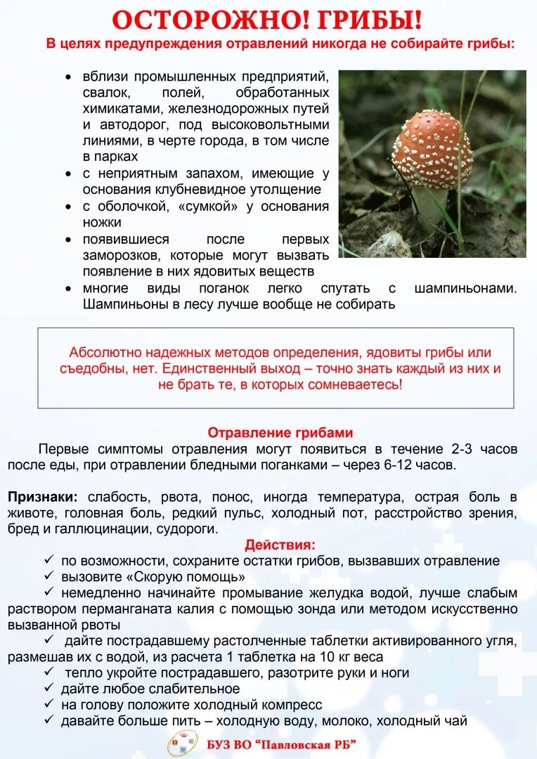Что съедобно что нет что