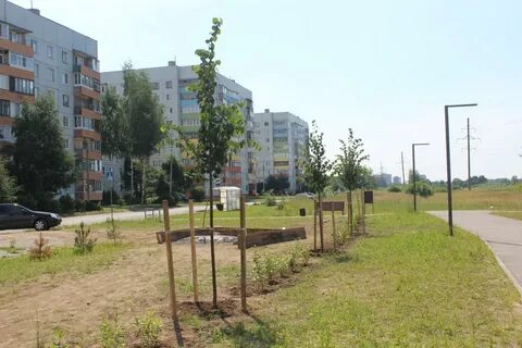Парковая великий новгород