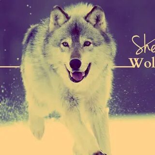 Her wolf