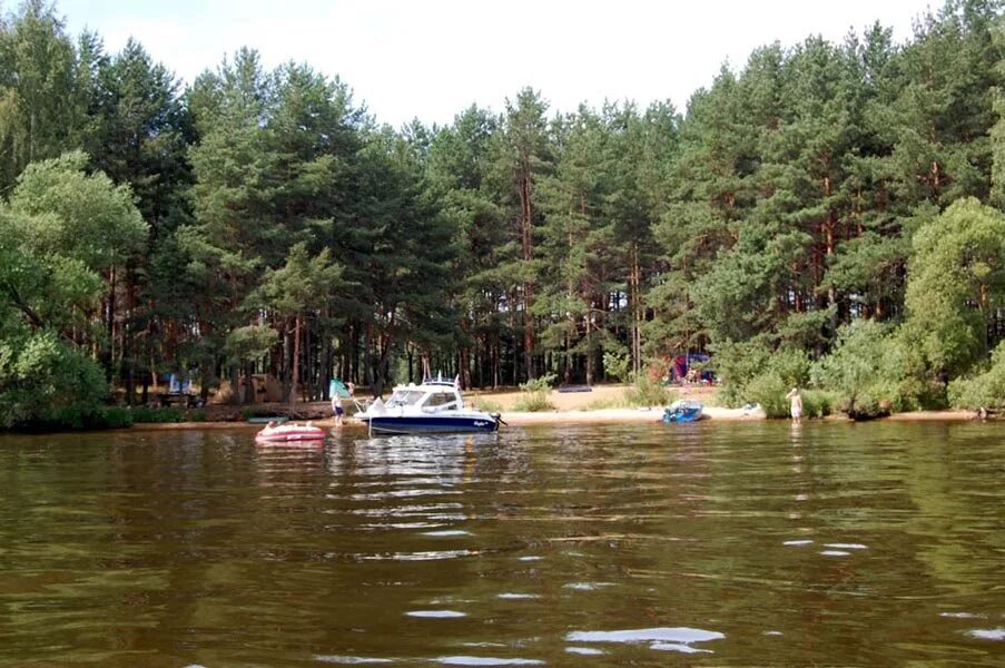 Водохранилище Дубна остров. Иваньковское водохранилище Дубна. Турбаза электрон Дубна. Истринское водохранилище кемпинг. Г б о отзывы