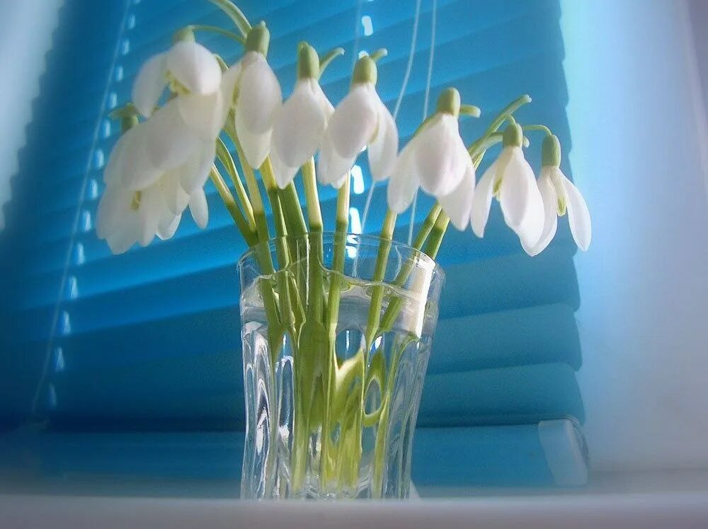 Доброе весеннее утро. С добрым весенним утром. Доброе весеннее утро. Доброго весеннего дня необычные картинки. Красивые весенние цветы.