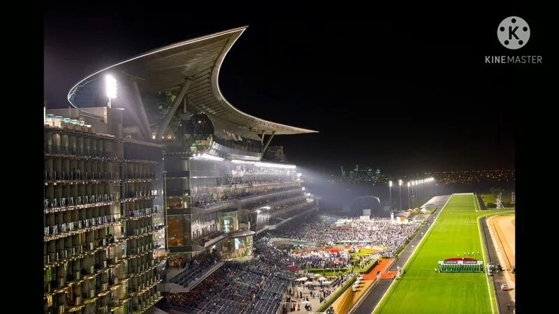 шоу выжить в дубае. возвращение дубай 2024 4 выпуск. возвращение дубай 2024 4 выпуск. жара в дубае 2024. мир возможностей дубай 2024.