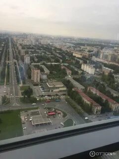 41 вид
