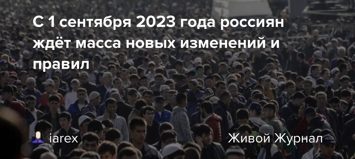 Нояб 2023