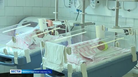 Перинатальные технологии вологда сайт