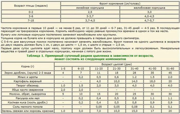 С какого возраста цыплят. Таблица кормления бройлерных цыплят. Рацион цыплят бройлеров с 10 дней. Суточный рацион цыплят бройлеров. Таблица рациона кормления цыплят бройлеров.