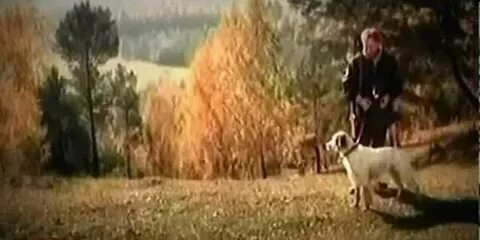 Песня неухоженный