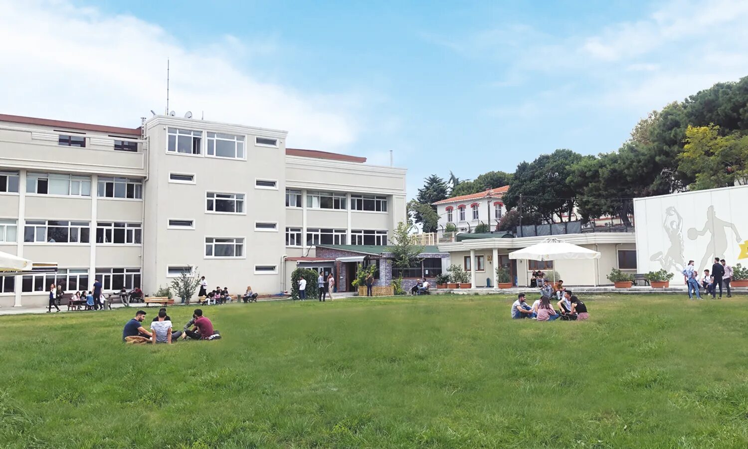 Tek ve