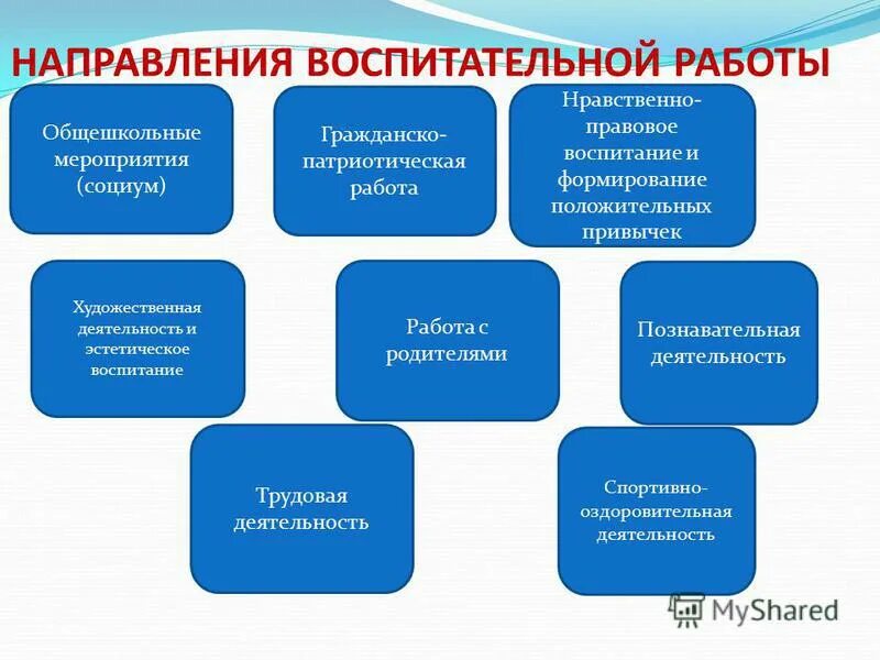 Укажите направления воспитания