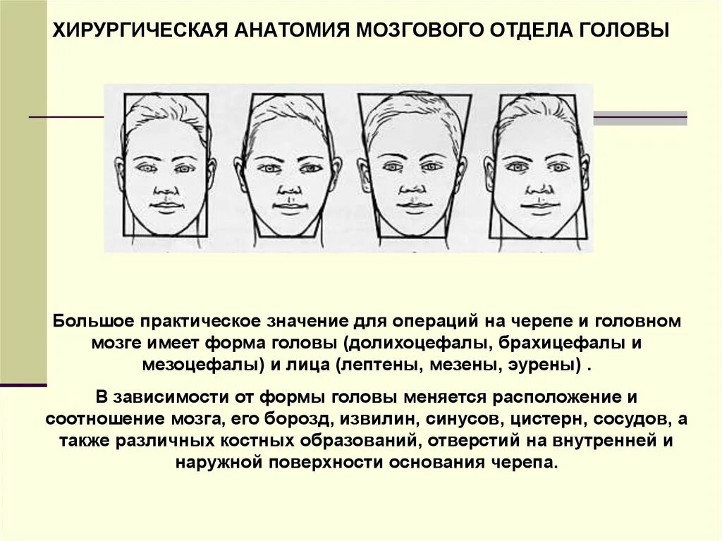 Форма затылка. Форма головы анатомия. Секционная анатомия головы. Анатомия лба. Форма головы долихоцефал.