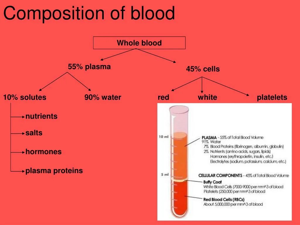 Blood Composition. Blood components. Composition of Blood components of Blood. Blood Plasma Proteins.