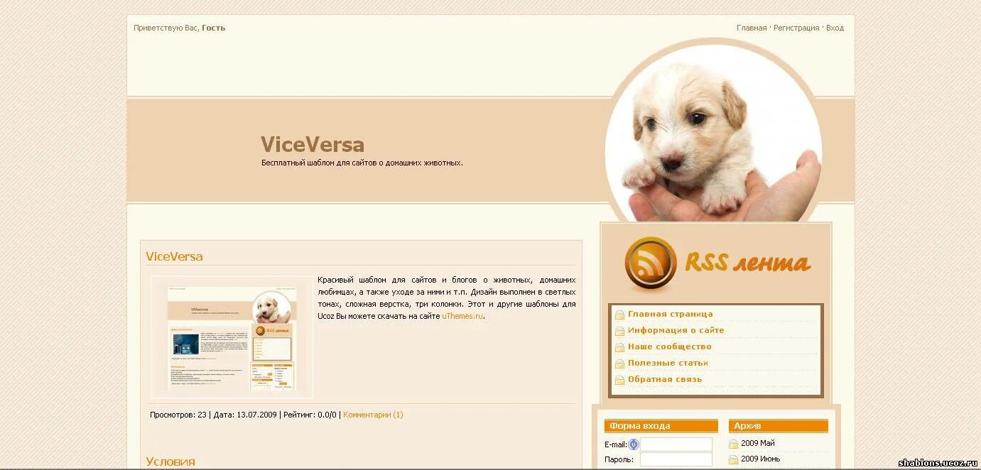 дизайн инстаграм. темплейт powerpoint. макет профиля в инстаграме. софтинг. красивый баннер.