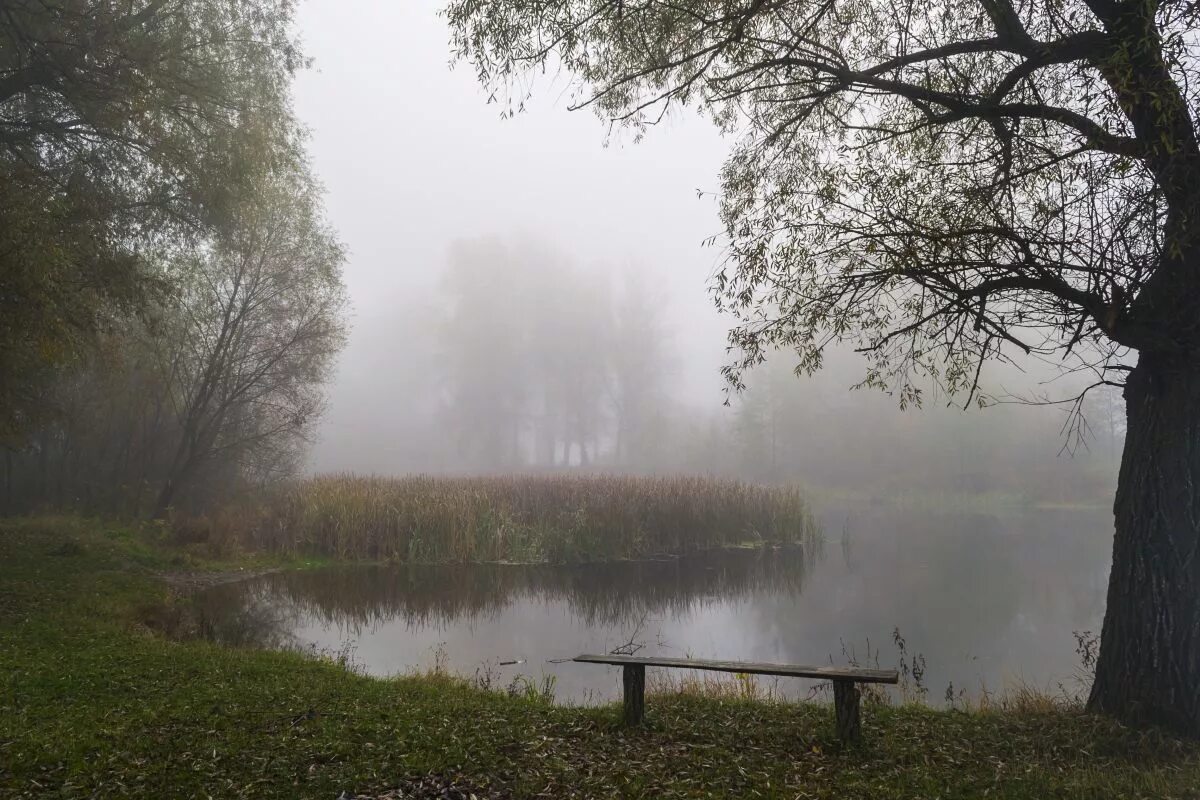 Осень спокойствие. Осеннее утро туман над рекой. Туманное утро на реке. Один на берегу туман утро. В тумане берег не виден