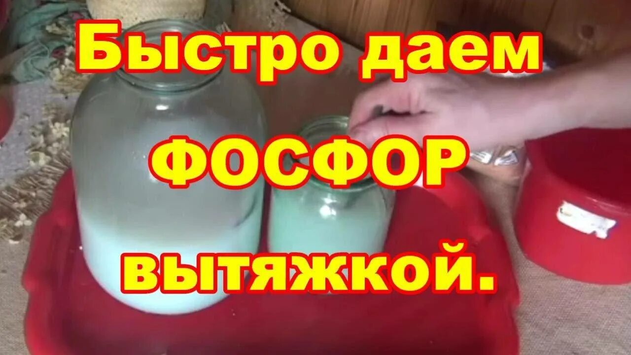 Как сделать вытяжку из суперфосфата для подкормки. Вытядкаиз суперфосфата. вытяжка из суперфосфата для томатов. вытяжка из суперфосфата двойного. вытяжка из суперфосфата для подкормки.