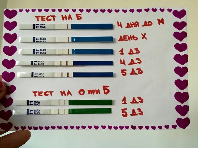 Тесты на беременность по дням. Тестина беременность по дням. Результаты теста на беременность по дням. Тест на беременность по неделям.