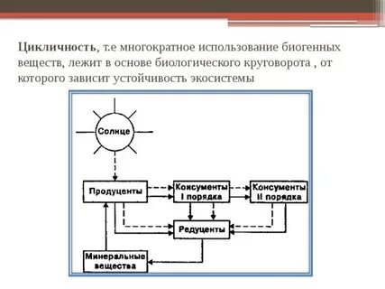 Биогенный круговорот