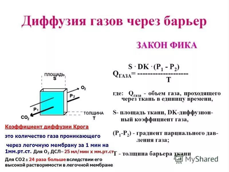 Диффузия и концентрация. Пассивная диффузия. Диффузия металлов. Смешение жидкостей. Простая и облегченная диффузия.