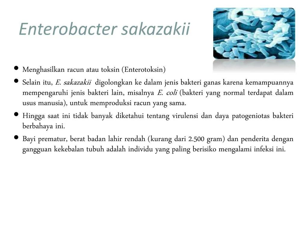 Enterobacter ludwigii что это. Enterobacter sakazakii газообразующие или нет. Энтеробактерии это. Энтеробактер клоаке биохимические свойства. Enterobacter cloacae что это