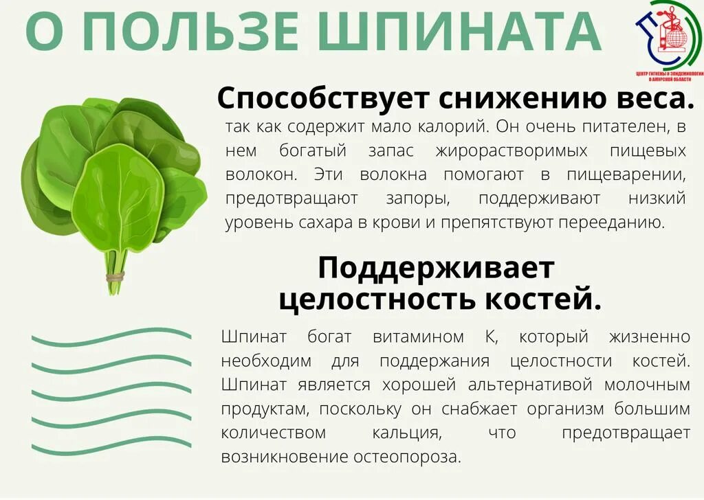 Шпинат микроэлементы. Шпинат микроэлементы. Витамины содержащиеся в шпинате. Шпинат польза. Шпинат витаминный.